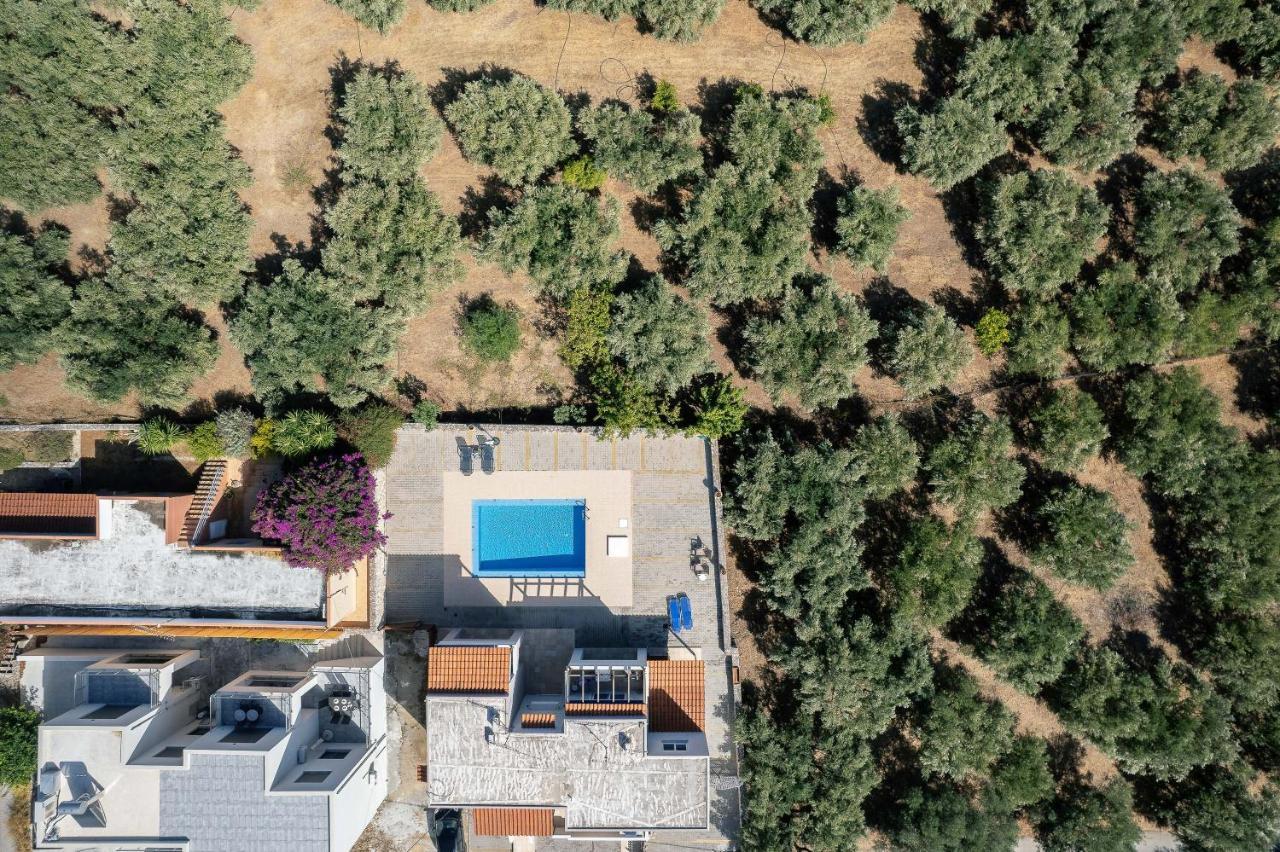 Greek Sky - New Modern Apartment With Shared Pool Tavronitis Eksteriør bilde
